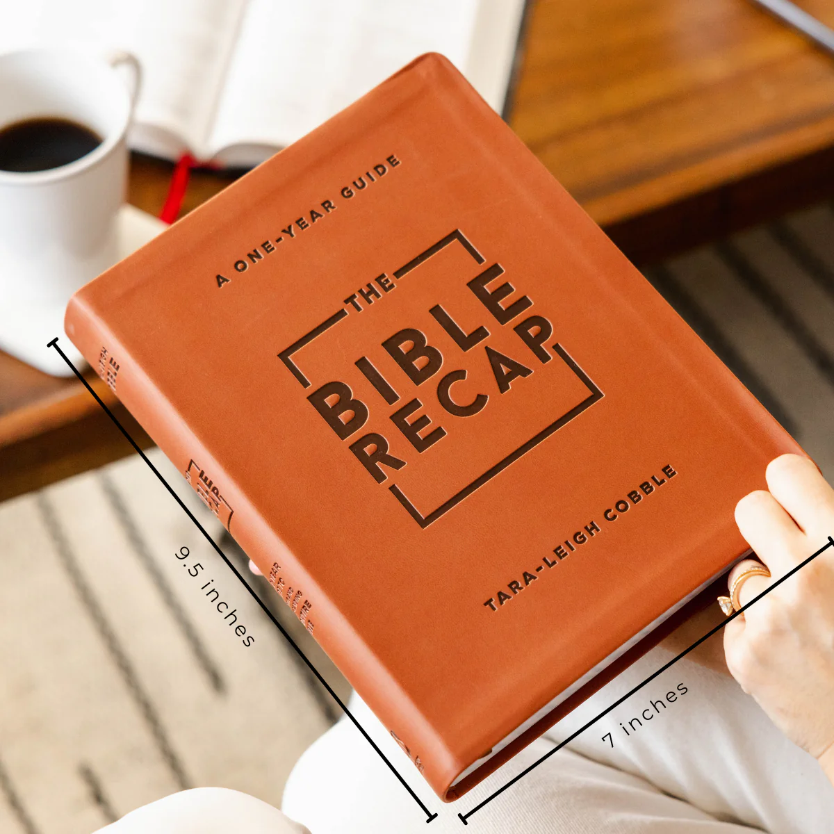 The Bible Recap: Deluxe Edition - Image 4