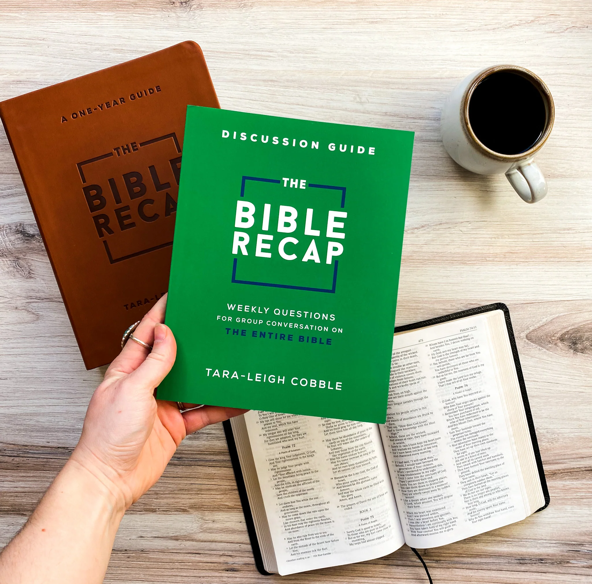 The Bible Recap: Discussion Guide - Image 3