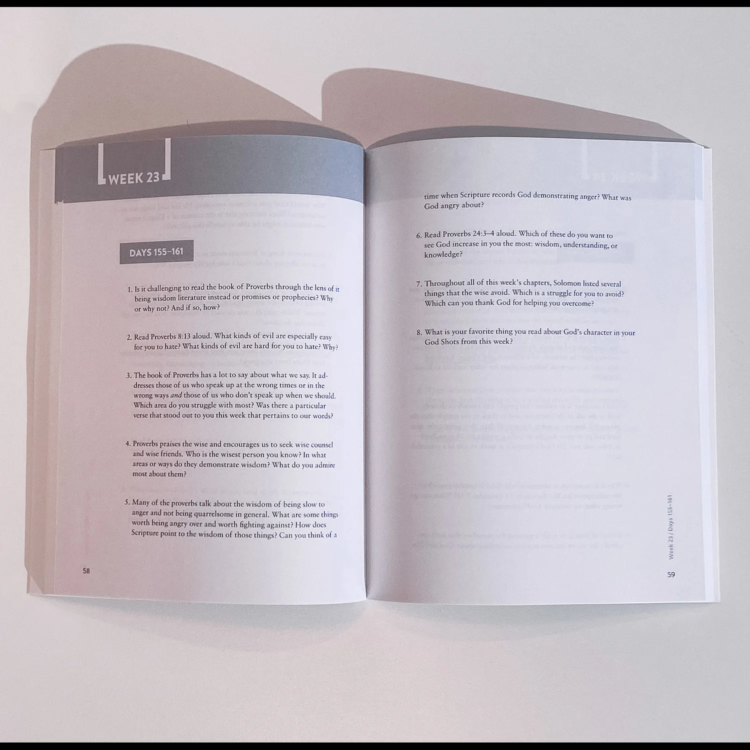 The Bible Recap: Discussion Guide - Image 4